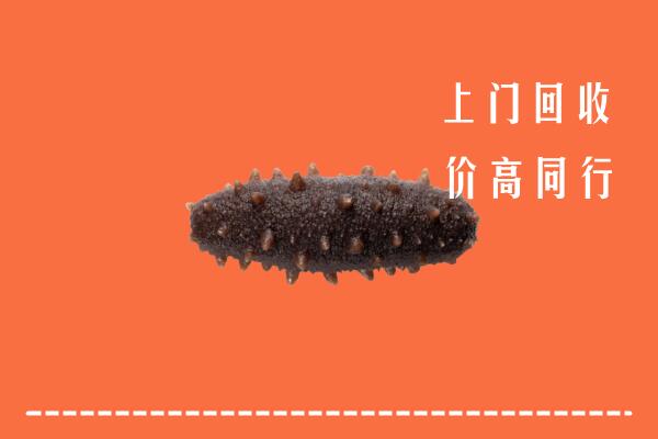 北京市顺义回收海参