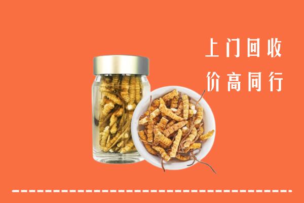 北京市顺义回收冬虫夏草